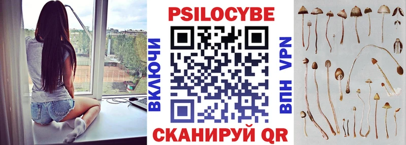Купить закладки Кохма Псилоцибиновые грибы Psilocybine cubensis